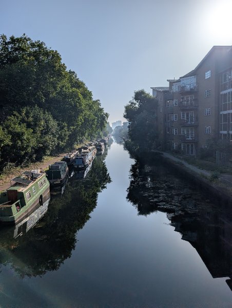 Vicky park