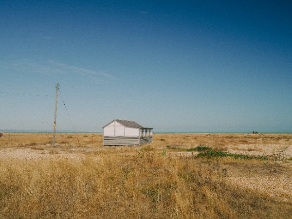 dungeness